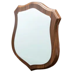 Trophy (7 corner Shield; Wooden and Glass)