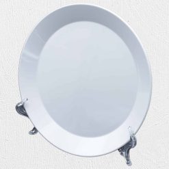 Alternative view of Polymer Kids Plate