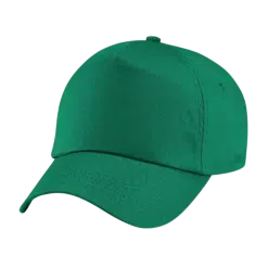 Cap (Green; Velcro fastener; 5 Panel; 100% Polyester)