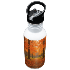 Alternative view of Water Bottle (Aqua Plus; Sublimation; 650ml; Single Wall; S/Steel)